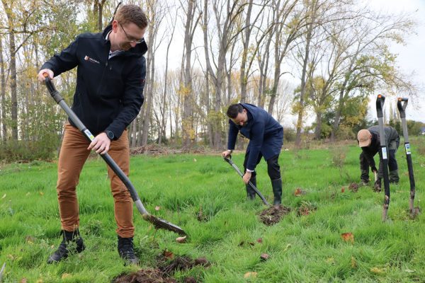 Nachhaltiger Klimaschutz: 2.500 Bäume für den Thüringer Wald