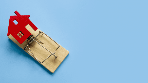 “A matter of perspective!” – TREUENBURG CEO Torsten Pfeifer in FOCUS